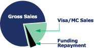 Pie Chart